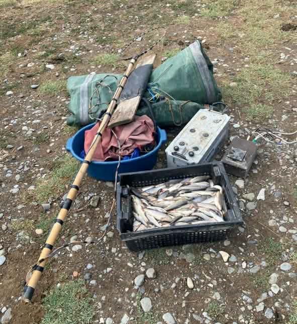 The Department of Environmental Supervision has identified 805 cases of illegal fishing across Georgia in 2025