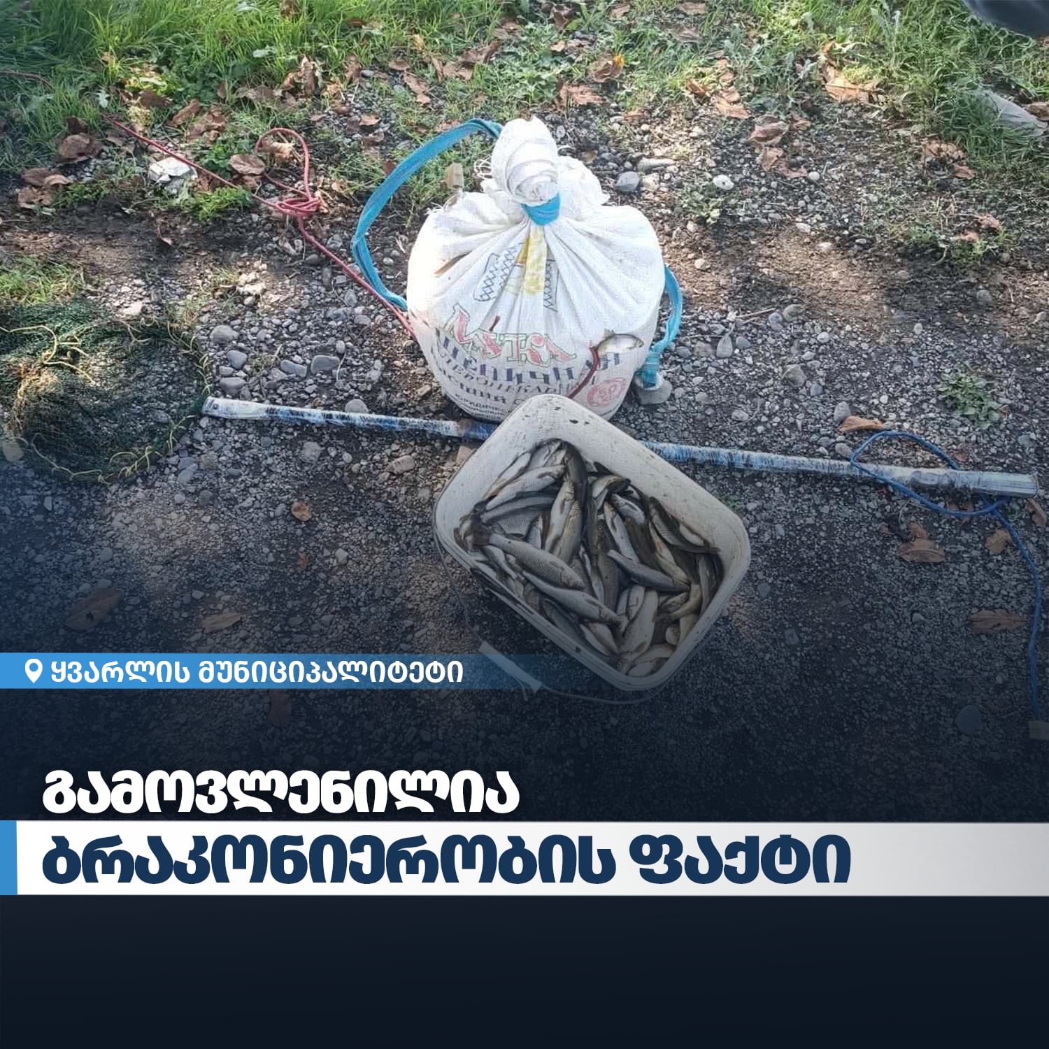  The Department of Environmental Supervision Identified a Case of Poaching in Kakheti