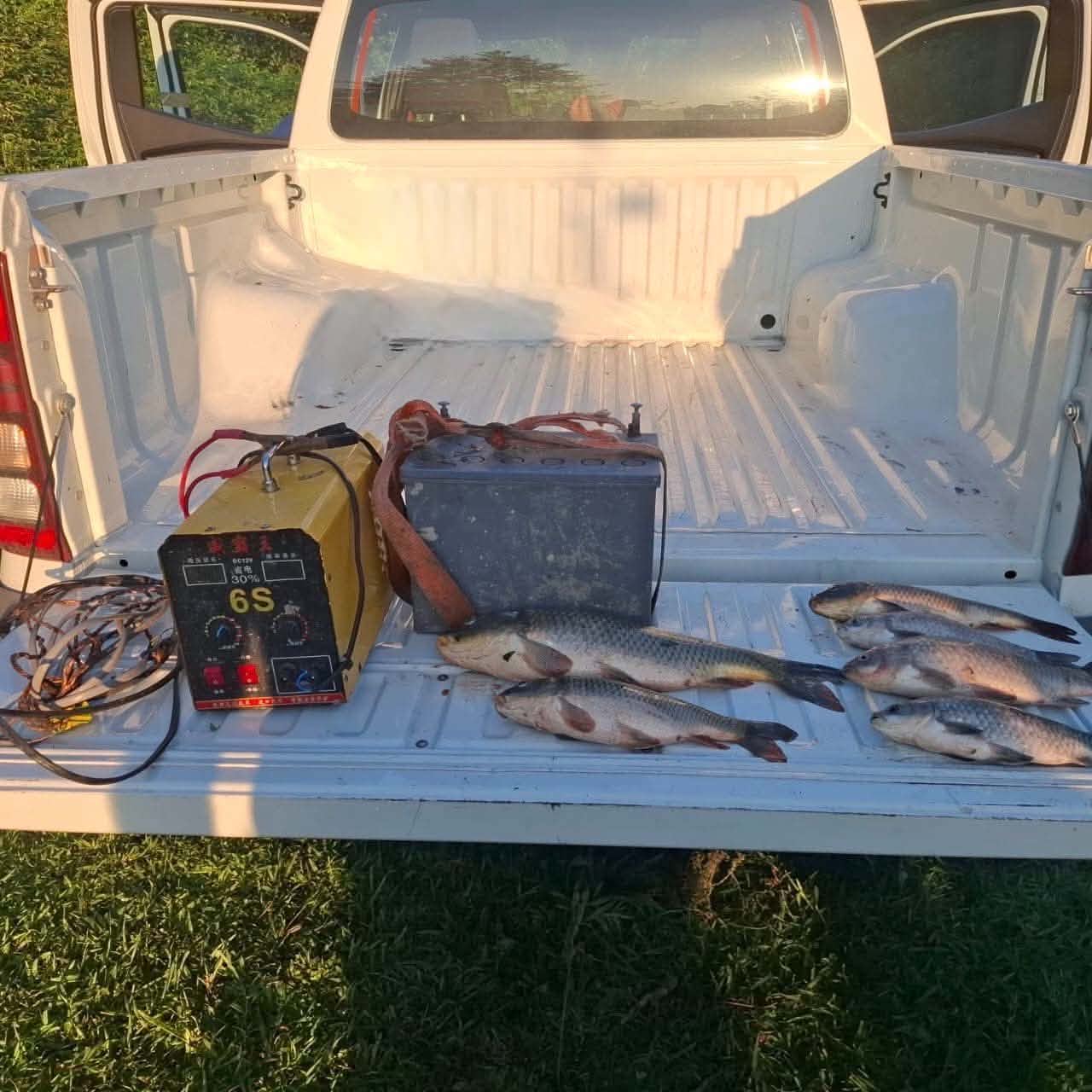 The Department of Environmental Supervision identified a Case of Poaching in Samegrelo