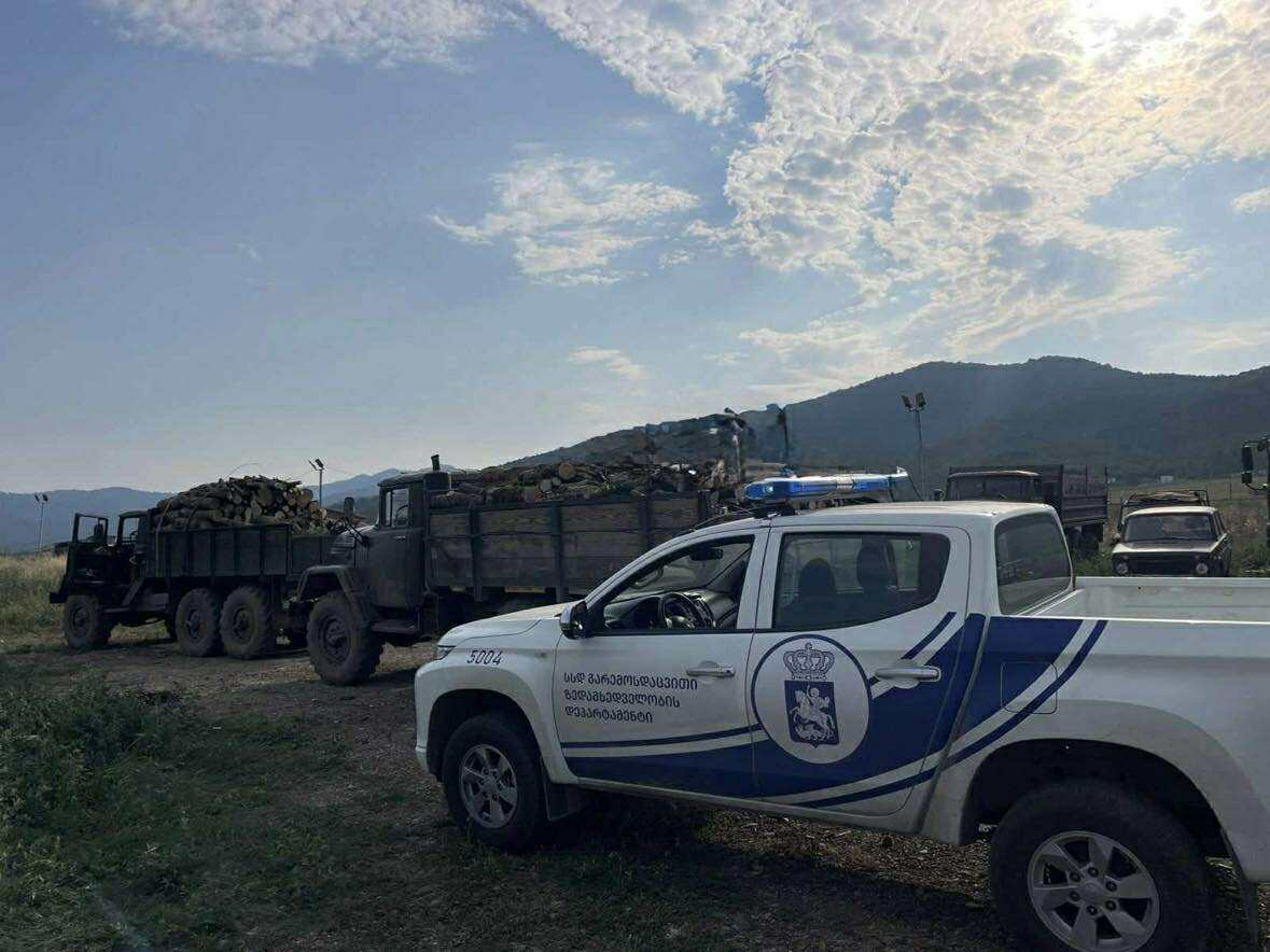 გარემოსდაცვითი ზედამხედველობის დეპარტამენტის თანამშრომლებმა ხე-ტყის უკანონო მოპოვებისა და ტრანსპორტირების 4 ფაქტი გამოავლინეს