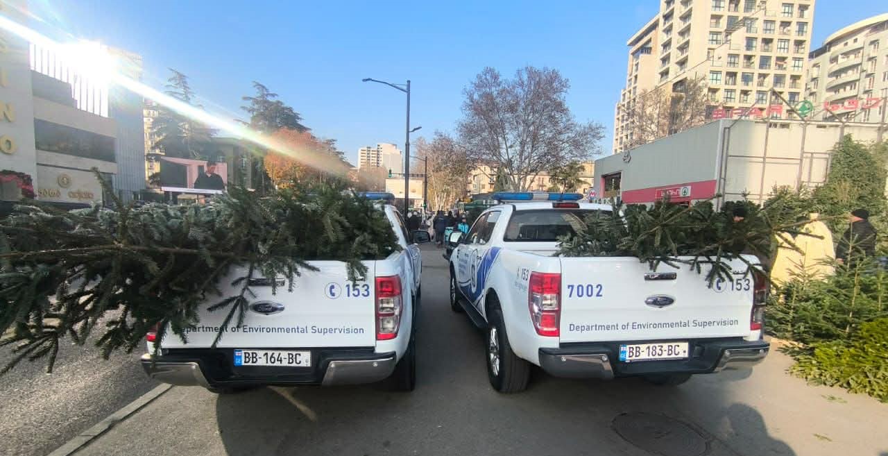 გარემოსდაცვითი ზედამხედველობის დეპარტამენტის თანამშრომლებმა წიწვოვანი ხე-მცენარეების უკანონო მოპოვებისა და ტრანსპორტირების ფაქტები გამოავლინეს