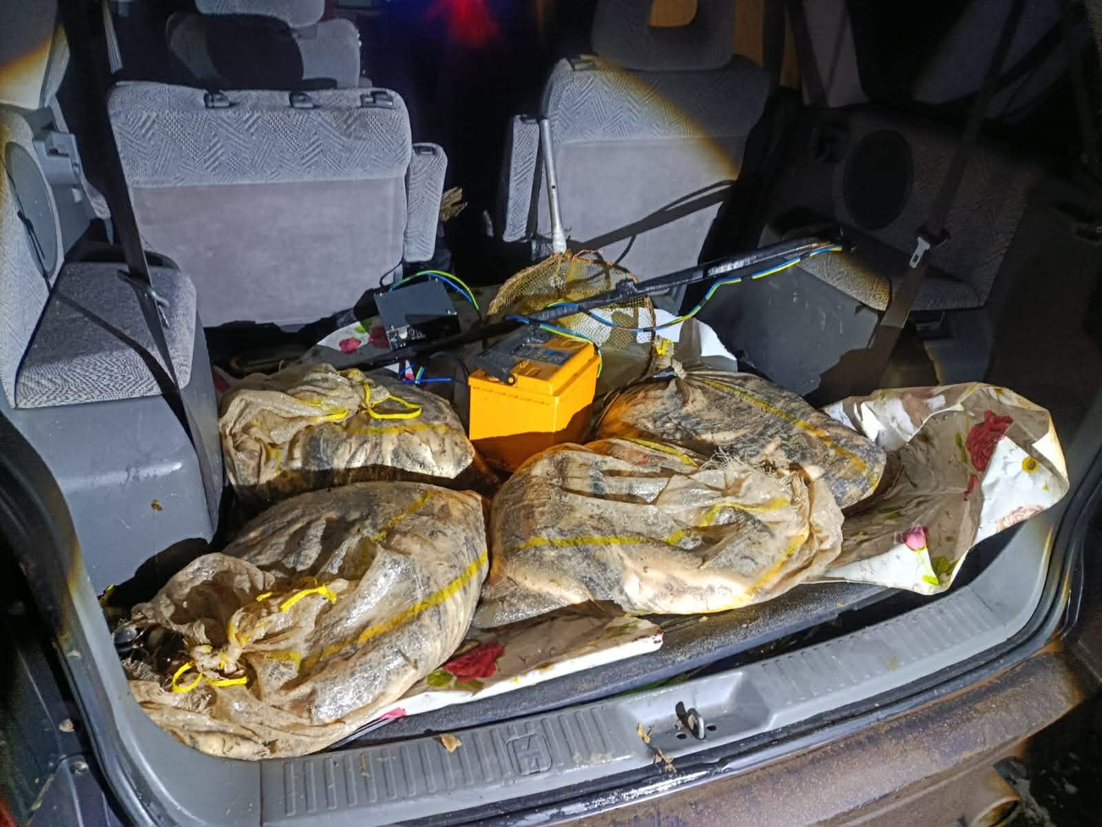 მდინარე მტკვარზე ელექტროიარაღით უკანონო თევზჭერის ფაქტი გამოავლინეს