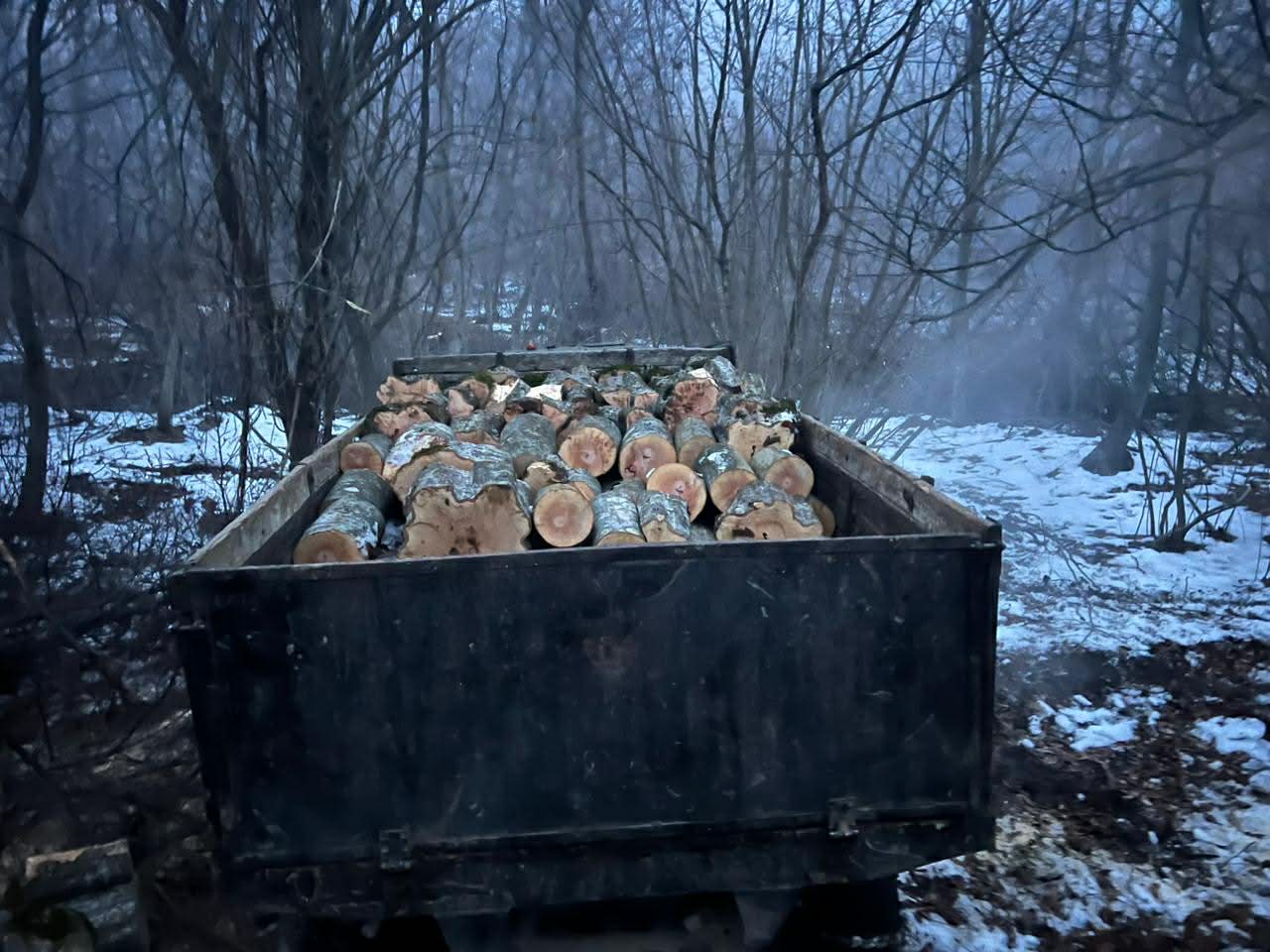 გარემოსდაცვითი ზედამხედველობის დეპარტამენტმა ხე-ტყის უკანონო მოპოვება-ტრანსპორტირების 19 ფაქტი გამოავლინა