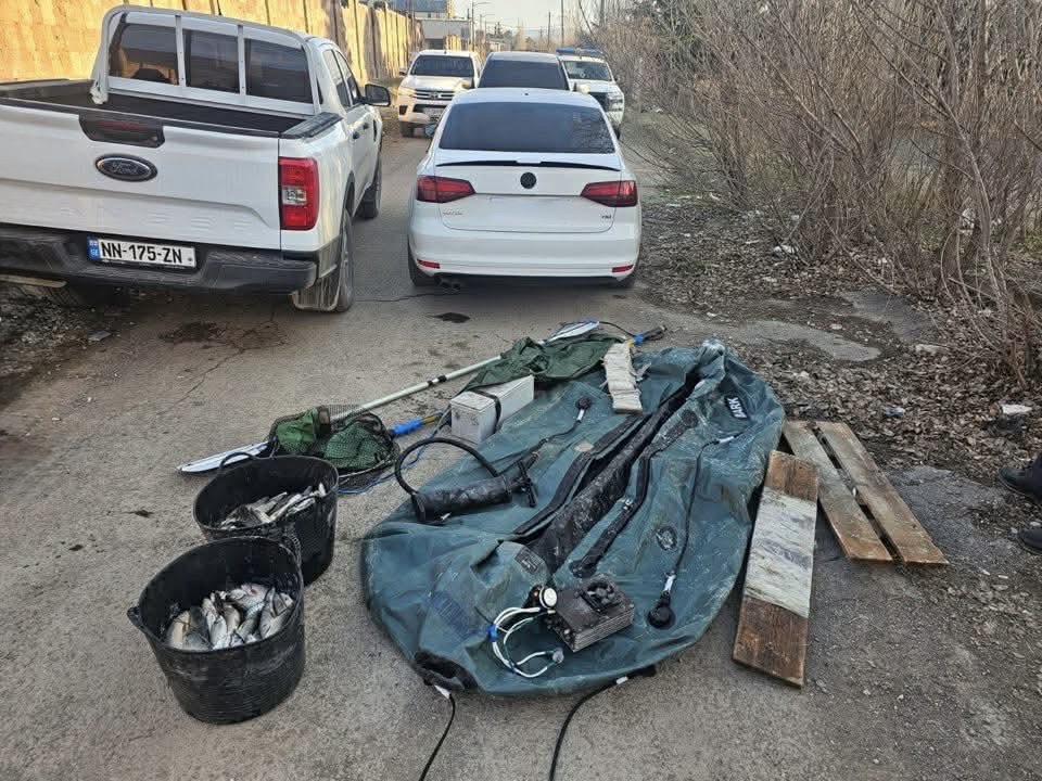 მდინარე მტკვარზე ელექტროიარაღით უკანონო თევზჭერის ფაქტები გამოავლინეს