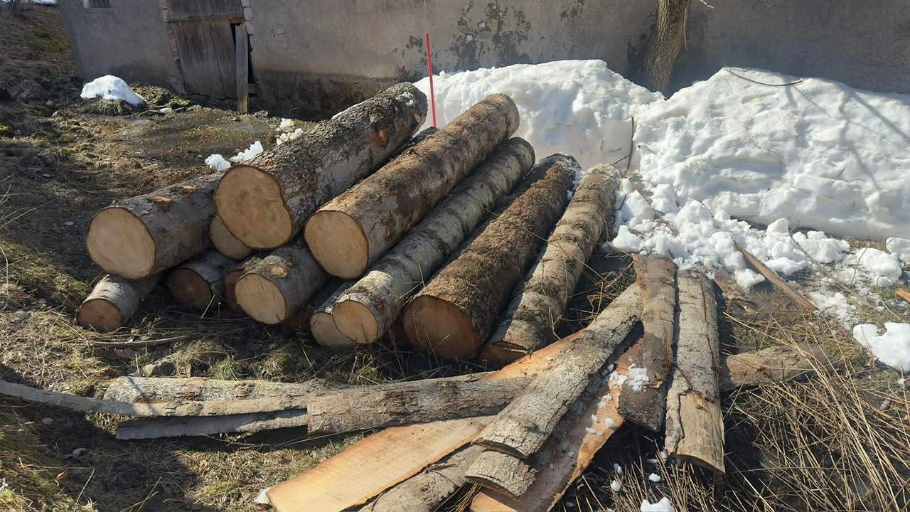 გარემოსდაცვითი ზედამხედველობის დეპარტამენტმა აჭარასა და გურიაში უკანონო ტყითსარგებლობის ფაქტები გამოავლინა