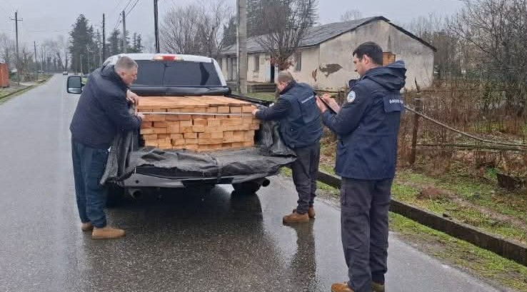 გარემოსდაცვითი ზედამხედველობის დეპარტამენტმა სამეგრელოში ხე-ტყის უკანონო ტრანსპორტირების ფაქტები გამოავლინა