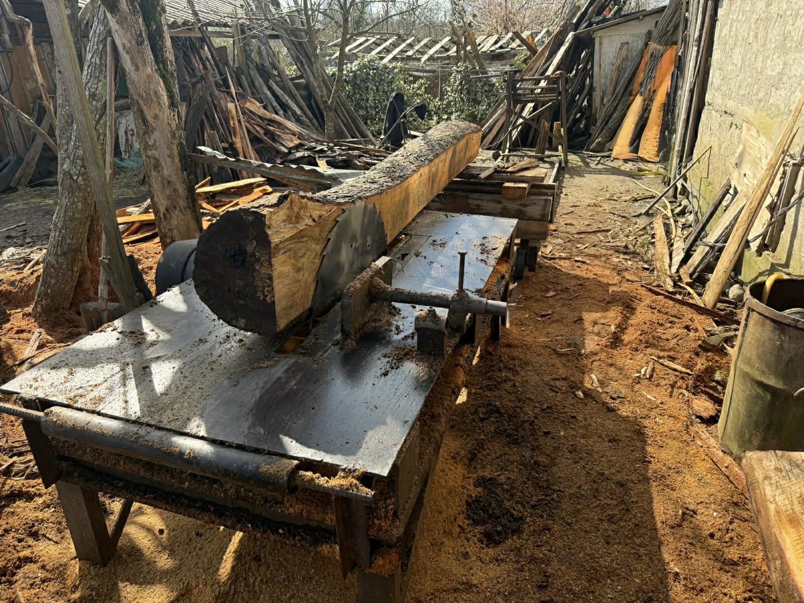 გარემოსდაცვითი ზედამხედველობის დეპარტამენტმა სამეგრელოში 3 უკანონო სახერხი საამქრო გამოავლინა