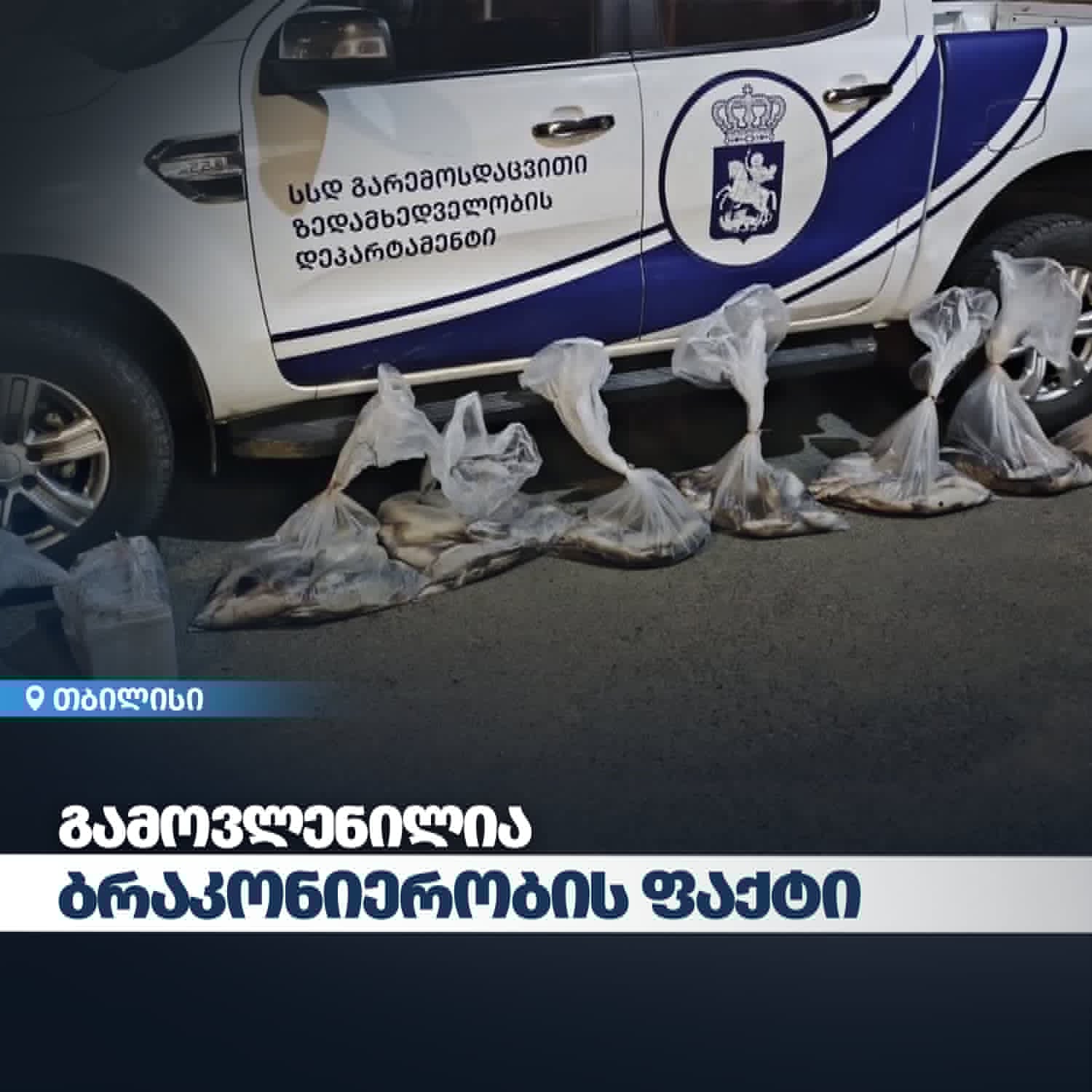 გარემოსდაცვითი ზედამხედველობის დეპარტამენტმა თბილისში ბრაკონიერობის ფაქტი გამოავლინა