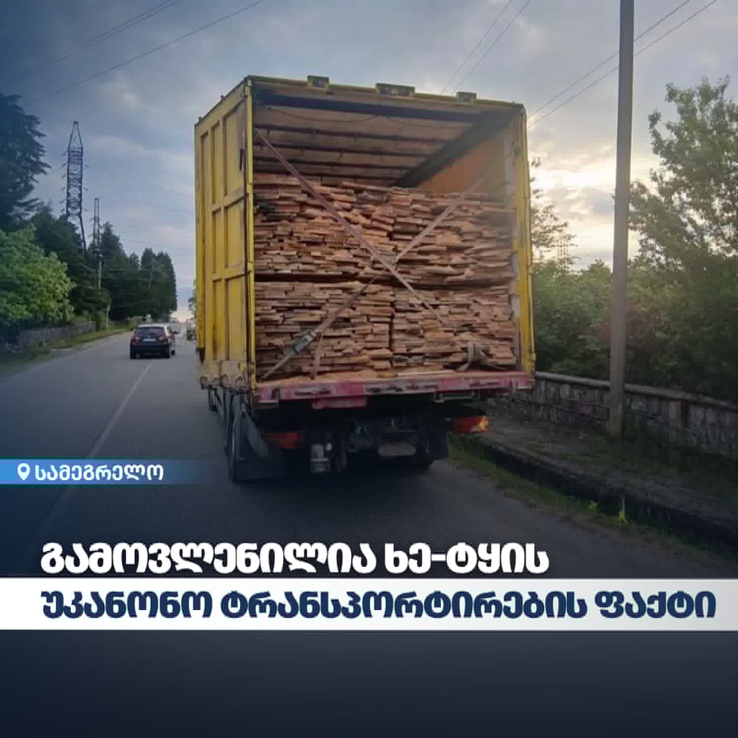 გარემოსდაცვითი ზედამხედველობის დეპარტამენტმა სამეგრელოში ხე-ტყის უკანონო ტრანსპორტირების ფაქტი გამოავლინა