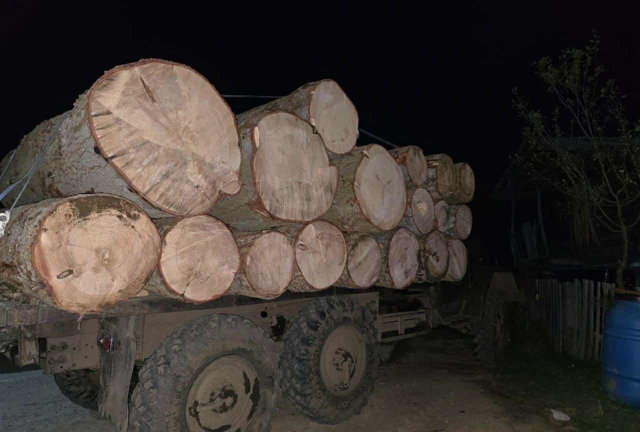 გარემოსდაცვითი ზედამხედველობის დეპარტამენტმა უკანონო ტყითსარგებლობის 14 ფაქტი გამოავლინა