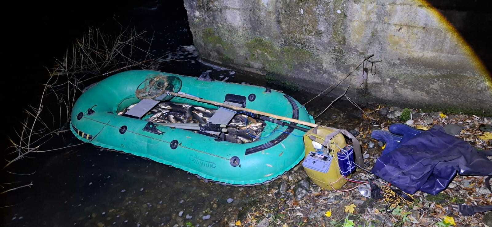 გარემოსდაცვითი ზედამხედველობის დეპარტამენტმა მდინარე ხრამზე ელექტროიარაღით უკანონო თევზჭერის ფაქტი გამოავლინა  