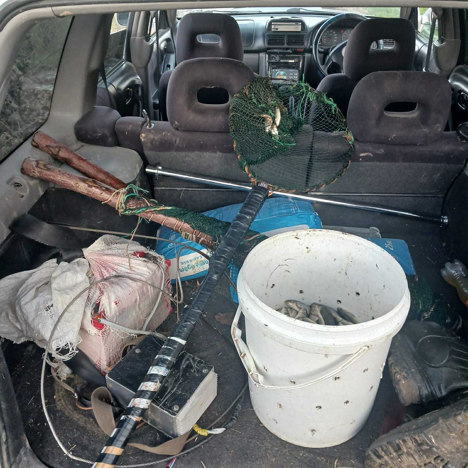 სამეგრელოში, შიდა ქართლსა და ქვემო ქართლში უკანონო თევზჭერის ფაქტები გამოავლინა