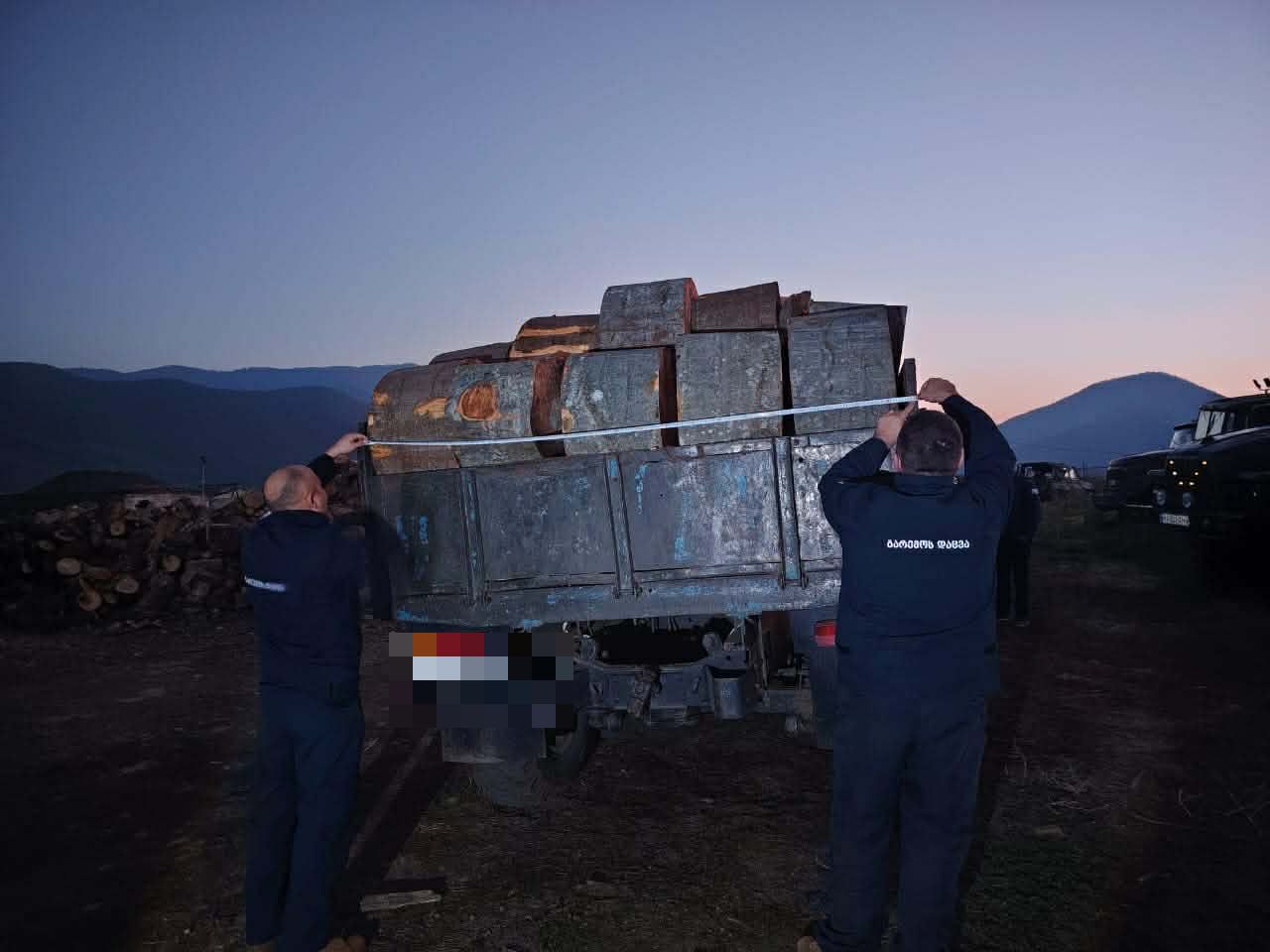 გარემოსდაცვითი ზედამხედველობის დეპარტამენტმა ქვემო ქართლში ხე-ტყის უკანონო მოპოვებისა და ტრანსპორტირების ფაქტები გამოავლინა 