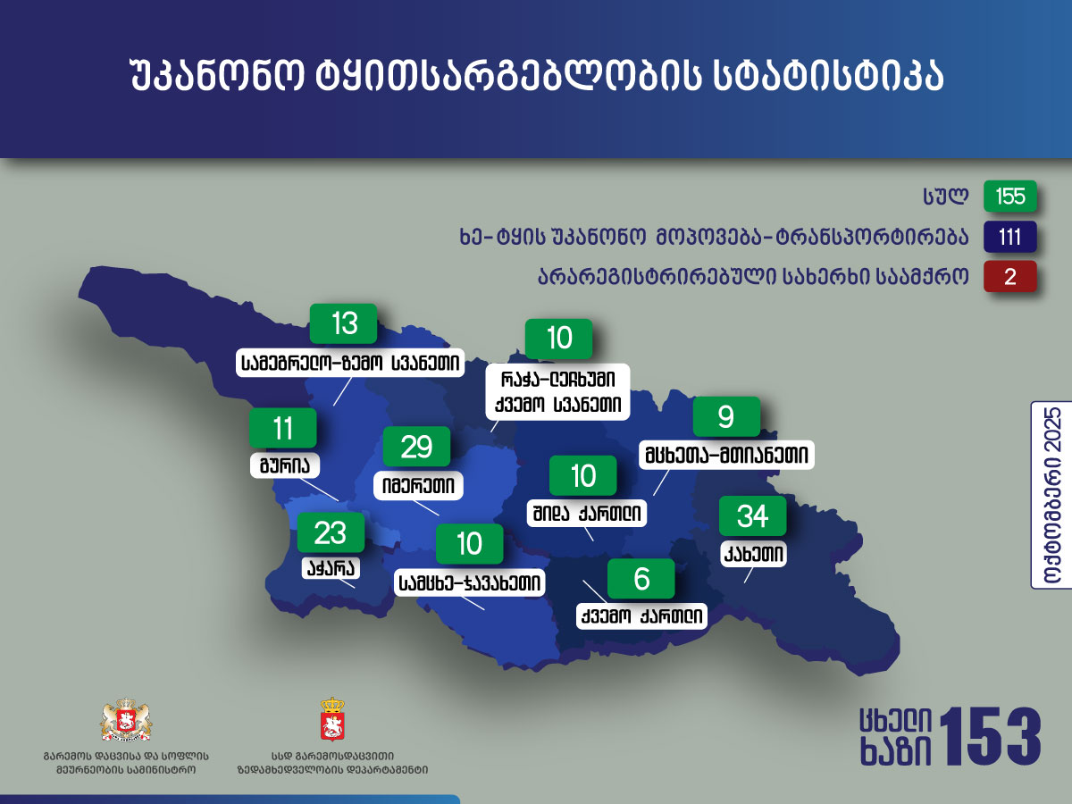გარემოსდაცვითი ზედამხედველობის დეპარტამენტმა ოქტომბერში უკანონო ტყითსარგებლობის 155 ფაქტი გამოავლინა
