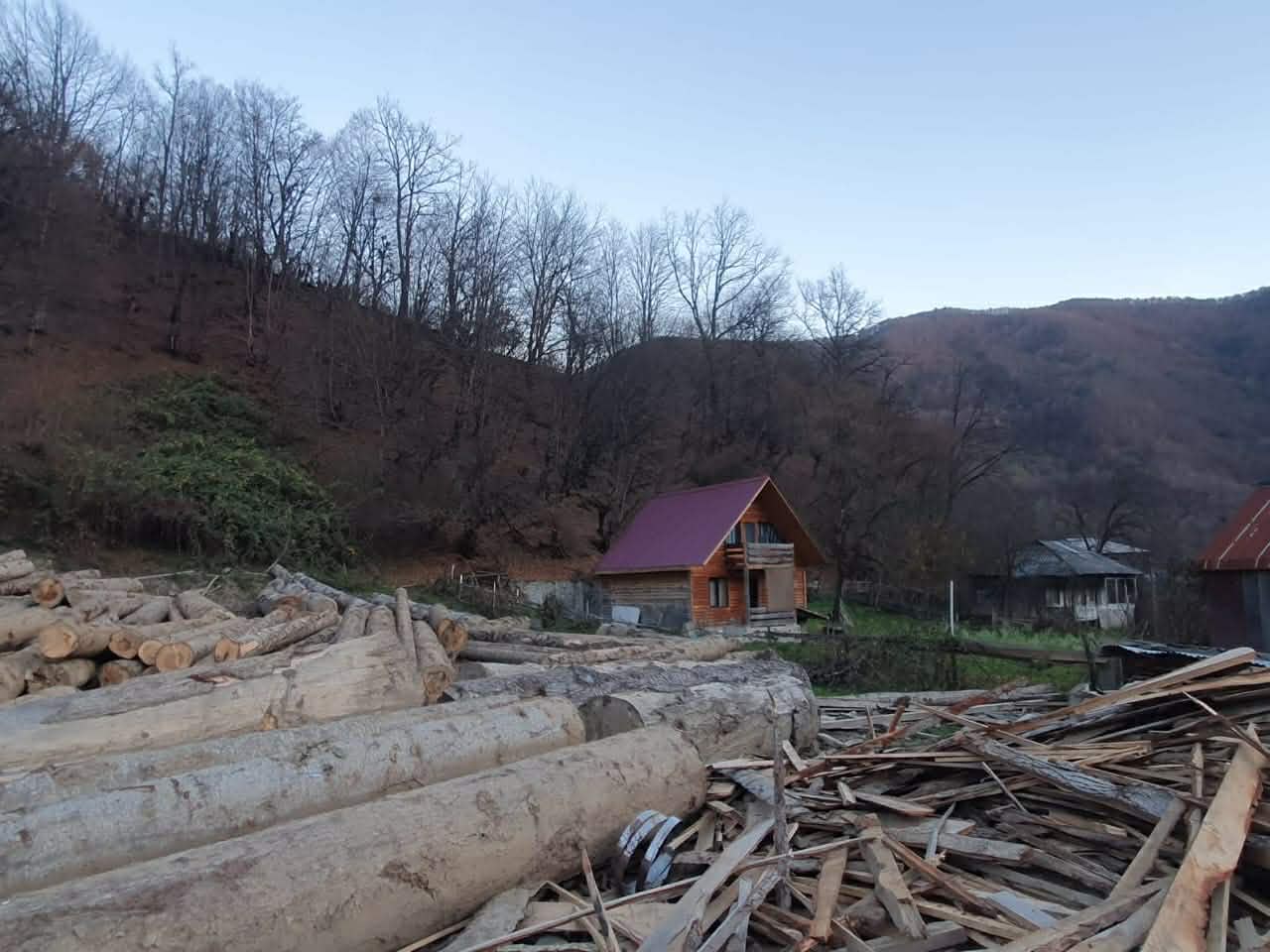 გარემოსდაცვითი ზედამხედველობის დეპარტამენტმა რაჭაში უკანონო ტყითსარგებლობის ფაქტი გამოავლინა