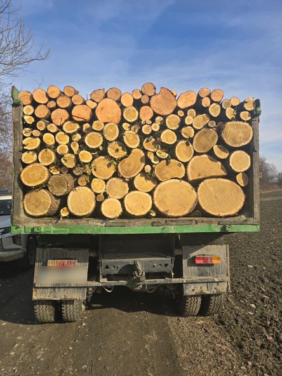 გარემოსდაცვითი ზედამხედველობის დეპარტამენტმა უკანონო ტყითსარგებლობის 16 ფაქტი გამოავლინა