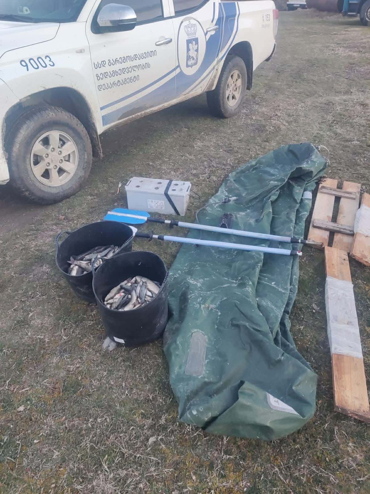 გარემოსდაცვითი ზედამხედველობის დეპარტამენტმა შიდა ქართლში ბრაკონიერობის ფაქტი გამოავლინა